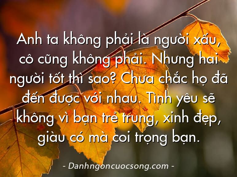 Anh ta không phải là người xấu, cô cũng không phải. Nhưng hai người tốt thì sao? Chưa chắc họ đã đến được với nhau. Tình yêu sẽ không vì bạn trẻ trung, xinh đẹp, giàu có mà coi trọng bạn.