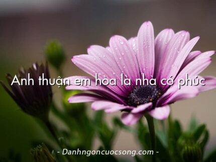 Anh thuận em hòa là nhà có phúc