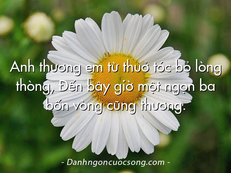 Anh thương em từ thuở tóc bỏ lòng thòng, Đến bây giờ một ngọn ba bốn vòng cũng thương.