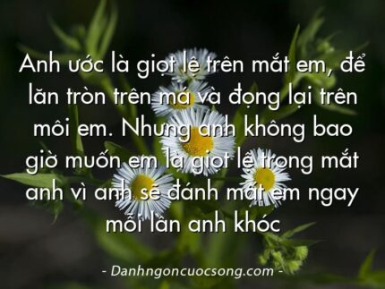 Anh ước là giọt lệ trên mắt em, để lăn tròn trên má và đọng lại trên môi em. Nhưng anh không bao giờ muốn em là giọt lệ trong mắt anh vì anh sẽ đánh mất em ngay mỗi lần anh khóc