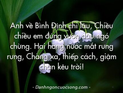 Anh về Bình Định chi lâu, Chiều chiều em đứng vườn dâu ngó chừng. Hai hàng nước mắt rưng rưng, Chàng xa, thiếp cách, giậm chân kêu trời!