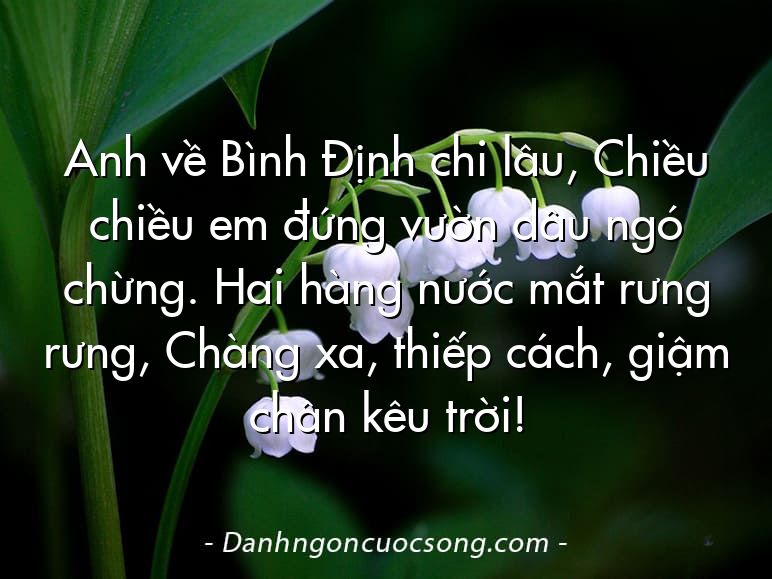 Anh về Bình Định chi lâu, Chiều chiều em đứng vườn dâu ngó chừng. Hai hàng nước mắt rưng rưng, Chàng xa, thiếp cách, giậm chân kêu trời!