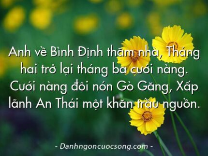 Anh về Bình Định thăm nhà, Tháng hai trở lại tháng ba cưới nàng. Cưới nàng đôi nón Gò Găng, Xấp lãnh An Thái một khăn trầu nguồn.