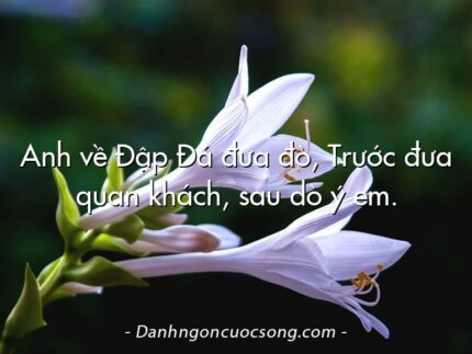 Anh về Đập Đá đưa đò, Trước đưa quan khách, sau dò ý em.