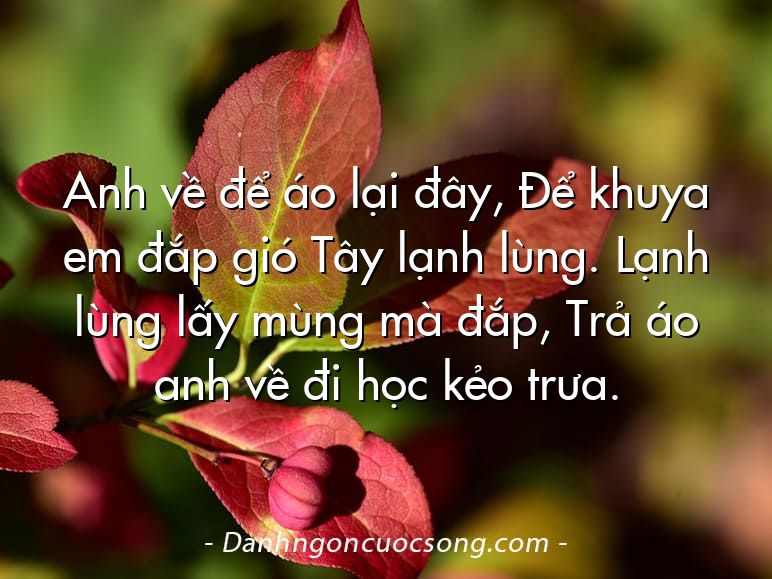 Anh về để áo lại đây, Để khuya em đắp gió Tây lạnh lùng. Lạnh lùng lấy mùng mà đắp, Trả áo anh về đi học kẻo trưa.