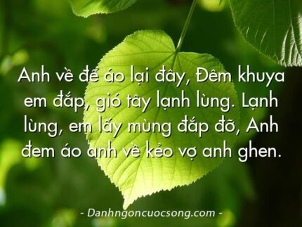 Anh về để áo lại đây, Ðêm khuya em đắp, gió tây lạnh lùng. Lạnh lùng, em lấy mùng đắp đỡ, Anh đem áo anh về kẻo vợ anh ghen.