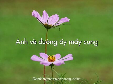 Anh về đường ấy mấy cung