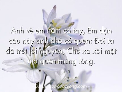 Anh về em nắm cổ tay, Em dặn câu này anh chớ có quên: Đôi ta đã trót lời nguyền, Chớ xa xôi mặt mà quên mảng lòng.