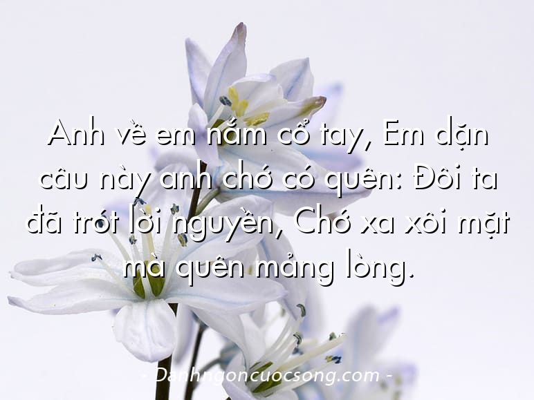 Anh về em nắm cổ tay, Em dặn câu này anh chớ có quên: Đôi ta đã trót lời nguyền, Chớ xa xôi mặt mà quên mảng lòng.