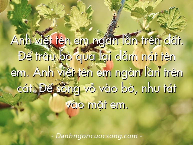 Anh viết tên em ngàn lần trên đất. Để trâu bò qua lại dẫm nát tên em. Anh viết tên em ngàn lần trên cát. Để sóng vỗ vào bờ, như tát vào mặt em.