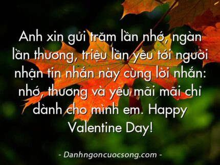 Anh xin gửi trăm lần nhớ, ngàn lần thương, triệu lần yêu tới người nhận tin nhắn này cùng lời nhắn: nhớ, thương và yêu mãi mãi chỉ dành cho mình em. Happy Valentine Day!