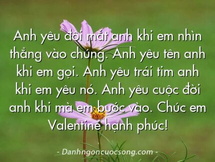 Anh yêu đôi mắt anh khi em nhìn thẳng vào chúng. Anh yêu tên anh khi em gọi. Anh yêu trái tim anh khi em yêu nó. Anh yêu cuộc đời anh khi mà em bước vào. Chúc em Valentine hạnh phúc!