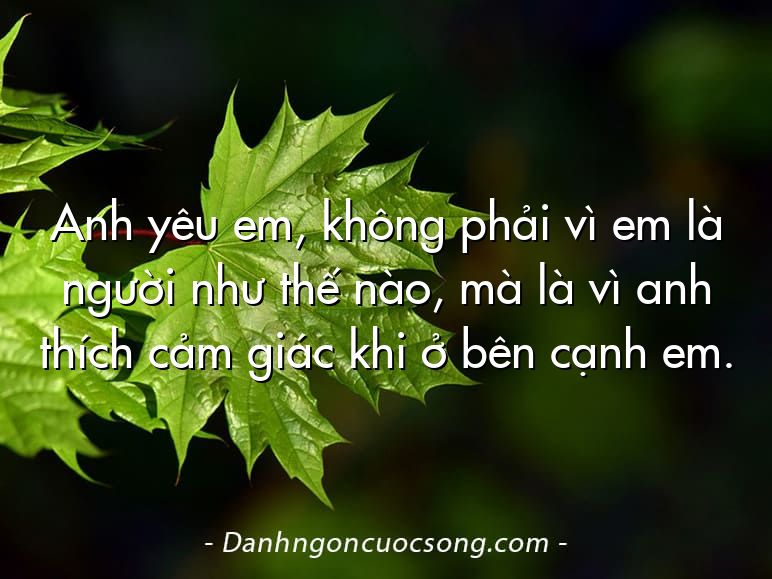 Anh yêu em, không phải vì em là người như thế nào, mà là vì anh thích cảm giác khi ở bên cạnh em.