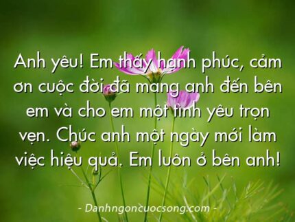 Anh yêu! Em thấy hạnh phúc, cảm ơn cuộc đời đã mang anh đến bên em và cho em một tình yêu trọn vẹn. Chúc anh một ngày mới làm việc hiệu quả. Em luôn ở bên anh!