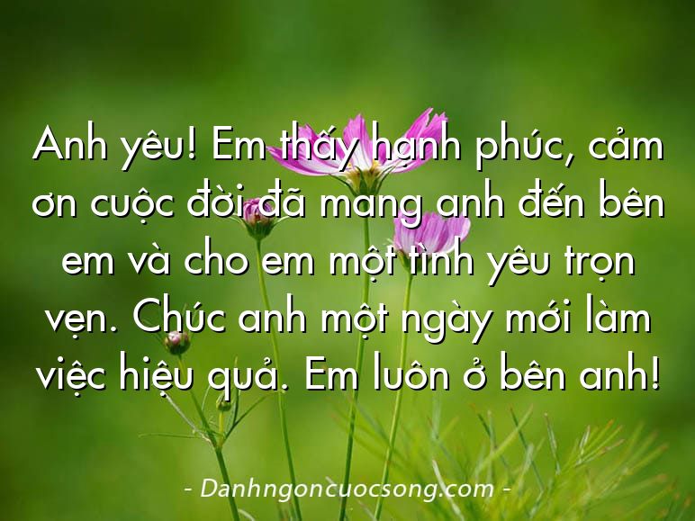 Anh yêu! Em thấy hạnh phúc, cảm ơn cuộc đời đã mang anh đến bên em và cho em một tình yêu trọn vẹn. Chúc anh một ngày mới làm việc hiệu quả. Em luôn ở bên anh!
