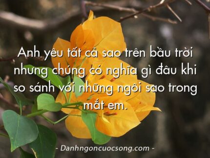 Anh yêu tất cả sao trên bầu trời nhưng chúng có nghĩa gì đâu khi so sánh với những ngôi sao trong mắt em.