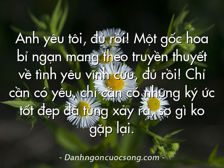 Anh yêu tôi, đủ rồi! Một gốc hoa bỉ ngạn mang theo truyền thuyết về tình yêu vĩnh cửu, đủ rồi! Chỉ cần có yêu, chỉ cần có những ký ức tốt đẹp đã từng xảy ra, sợ gì ko gặp lại.