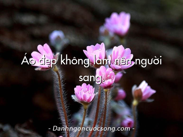 Áo đẹp không làm nên người sang.
