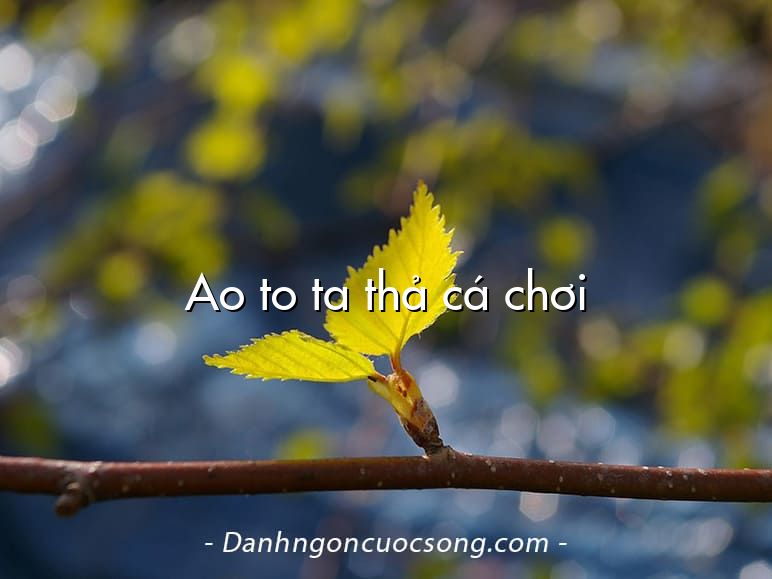 Ao to ta thả cá chơi