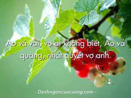 Áo vá vai, vợ ai không biết, Áo vá quàng, nhất quyết vợ anh.