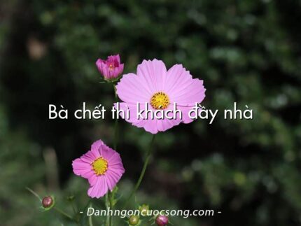 Bà chết thì khách đầy nhà