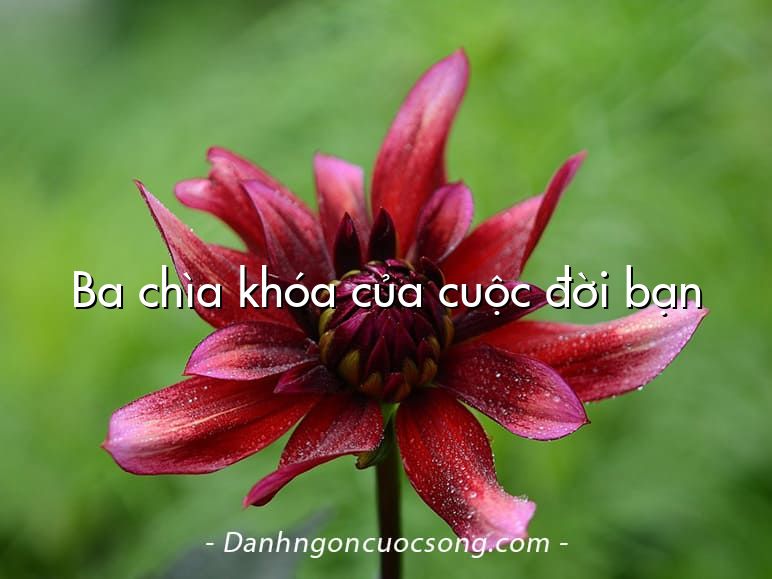 Ba chìa khóa của cuộc đời bạn