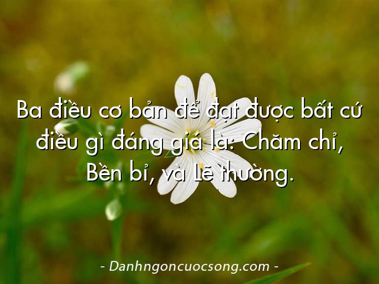 Ba điều cơ bản để đạt được bất cứ điều gì đáng giá là: Chăm chỉ, Bền bỉ, và Lẽ thường.
