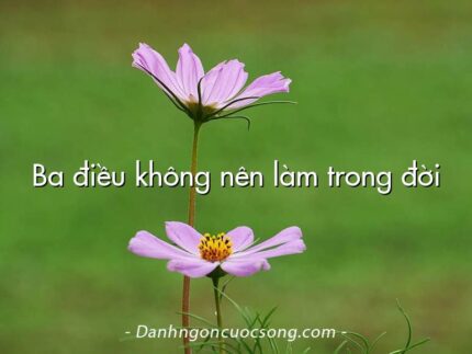 Ba điều không nên làm trong đời