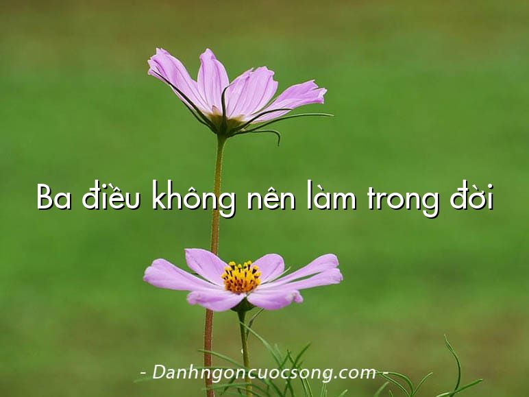 Ba điều không nên làm trong đời