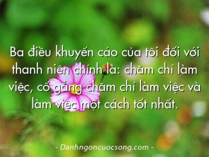 Ba điều khuyến cáo của tôi đối với thanh niên chính là: chăm chỉ làm việc, cố gắng chăm chỉ làm việc và làm việc một cách tốt nhất.