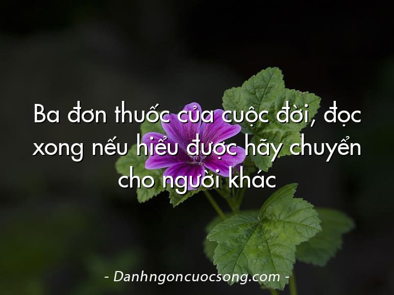 Ba đơn thuốc của cuộc đời, đọc xong nếu hiểu được hãy chuyển cho người khác