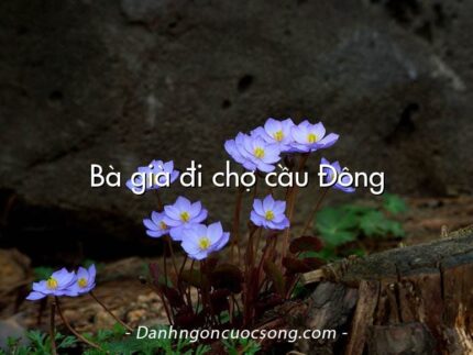 Bà già đi chợ cầu Đông