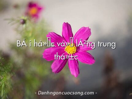 BÃ i há»c vá» lÃ²ng trung thá»±c