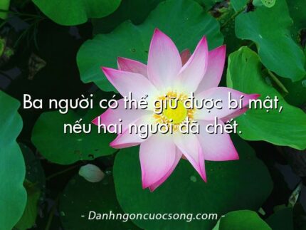 Ba người có thể giữ được bí mật, nếu hai người đã chết.