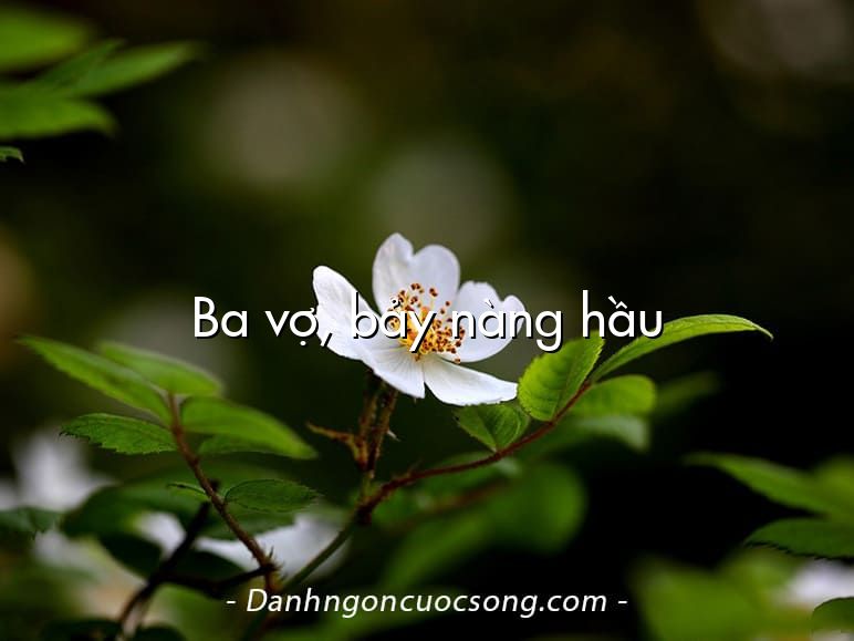 Ba vợ, bảy nàng hầu