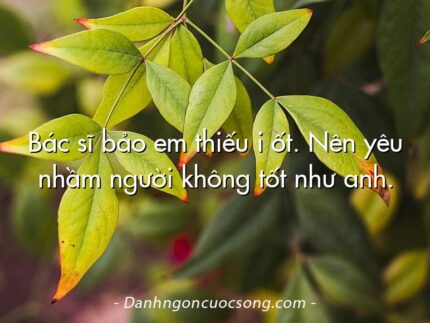 Bác sĩ bảo em thiếu i ốt. Nên yêu nhầm người không tốt như anh.