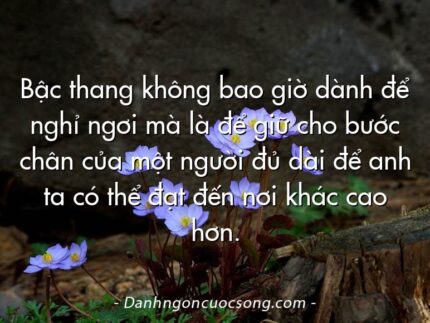 Bậc thang không bao giờ dành để nghỉ ngơi mà là để giữ cho bước chân của một người đủ dài để anh ta có thể đạt đến nơi khác cao hơn.