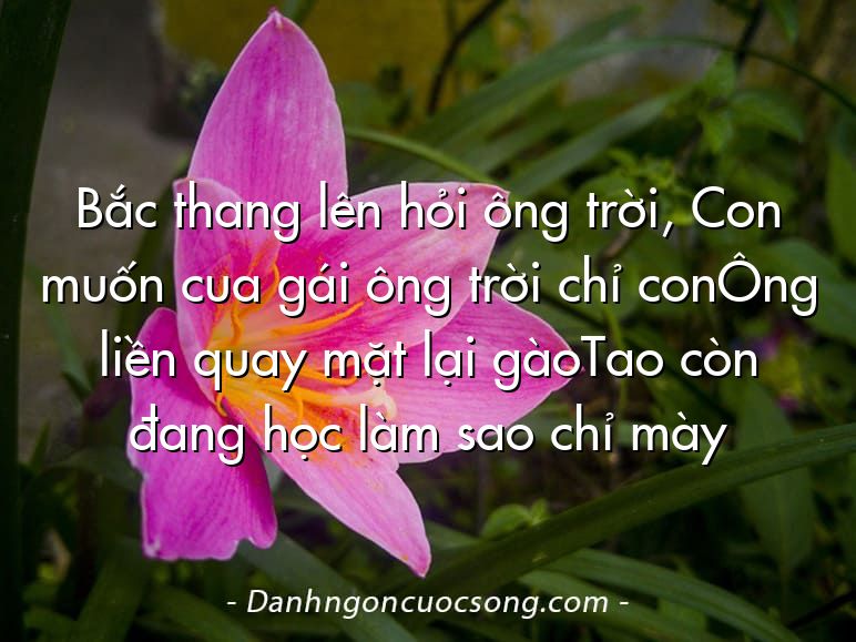 Bắc thang lên hỏi ông trời, Con muốn cua gái ông trời chỉ conÔng liền quay mặt lại gàoTao còn đang học làm sao chỉ mày