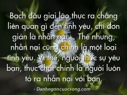 Bạch đầu giai lão thực ra chẳng liên quan gì đến tình yêu, chỉ đơn giản là nhẫn nại… Thế nhưng, nhẫn nại cũng chính là một loại tình yêu. Vì thế, người thực sự yêu bạn, thực chất chính là người luôn tỏ ra nhẫn nại với bạn.