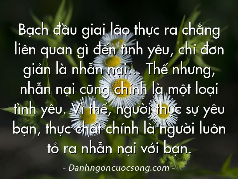 Bạch đầu giai lão thực ra chẳng liên quan gì đến tình yêu, chỉ đơn giản là nhẫn nại… Thế nhưng, nhẫn nại cũng chính là một loại tình yêu. Vì thế, người thực sự yêu bạn, thực chất chính là người luôn tỏ ra nhẫn nại với bạn.