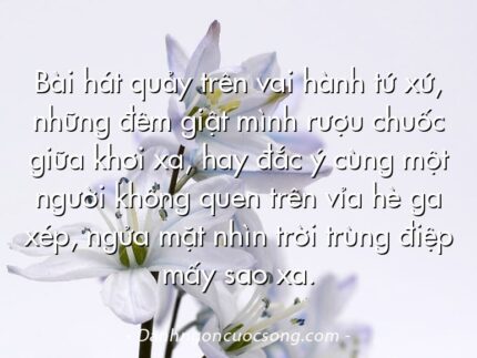 Bài hát quảy trên vai hành tứ xứ, những đêm giật mình rượu chuốc giữa khơi xa, hay đắc ý cùng một người không quen trên vỉa hè ga xép, ngửa mặt nhìn trời trùng điệp mấy sao xa.