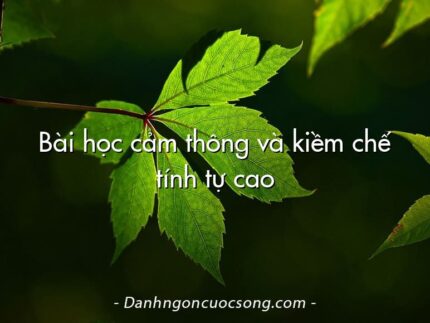 Bài học cảm thông và kiềm chế tính tự cao