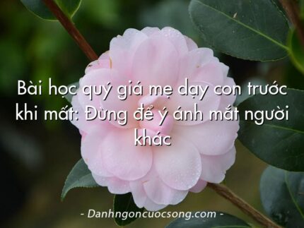 Bài học quý giá mẹ dạy con trước khi mất: Đừng để ý ánh mắt người khác