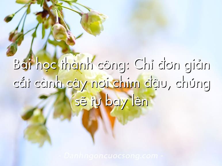 Bài học thành công: Chỉ đơn giản cắt cành cây nơi chim đậu, chúng sẽ tự bay lên