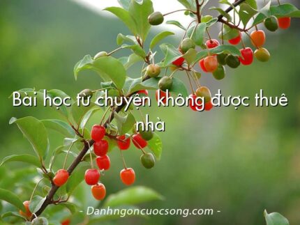 Bài học từ chuyện không được thuê nhà