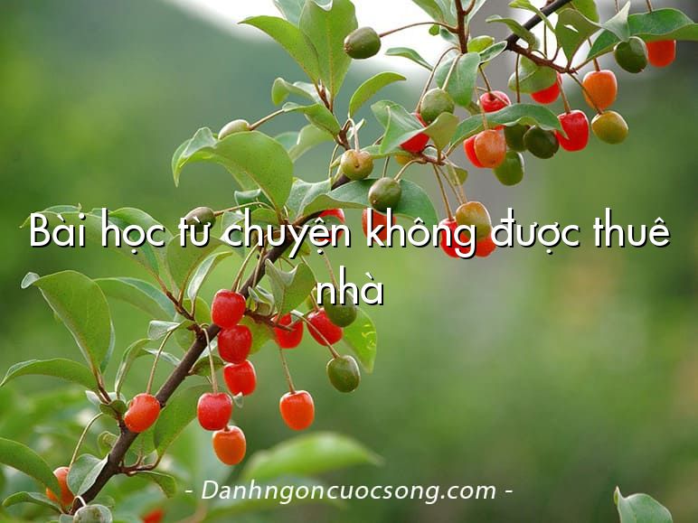 Bài học từ chuyện không được thuê nhà