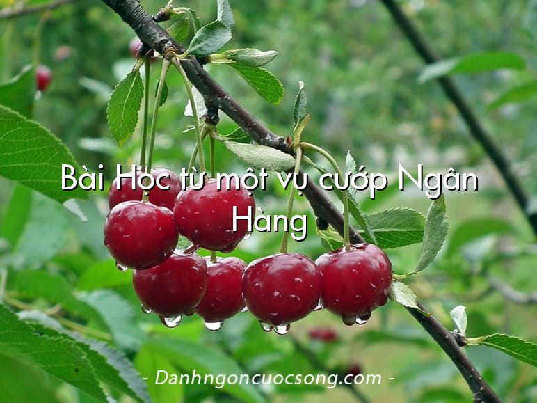 Bài Học từ một vụ cướp Ngân Hàng