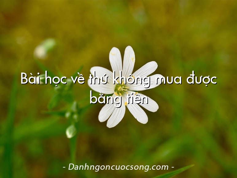 Bài học về thứ không mua được bằng tiền