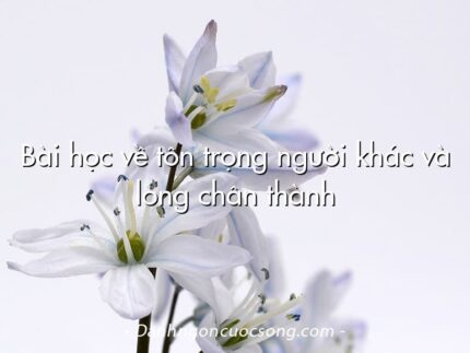Bài học về tôn trọng người khác và lòng chân thành