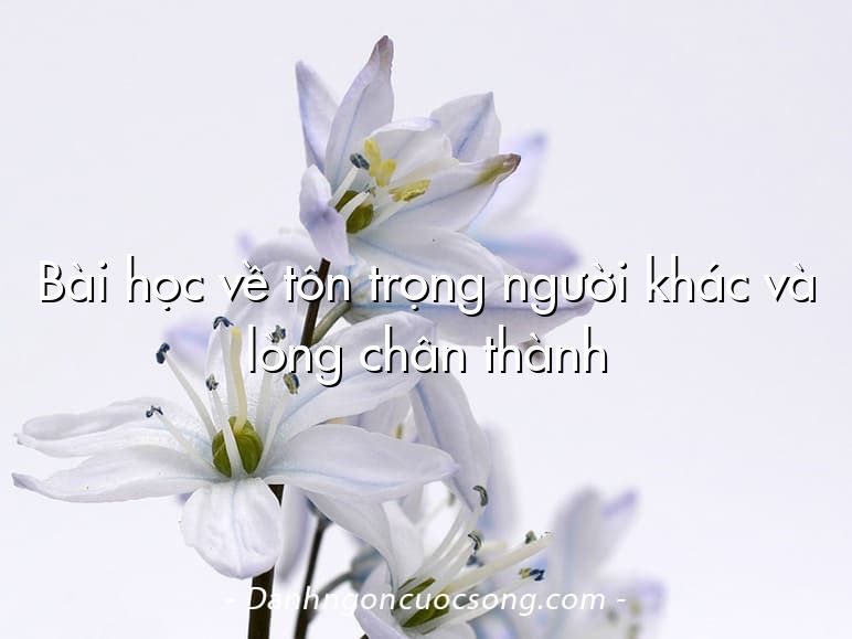Bài học về tôn trọng người khác và lòng chân thành